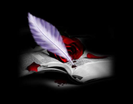 38113043plume-livre-png.png